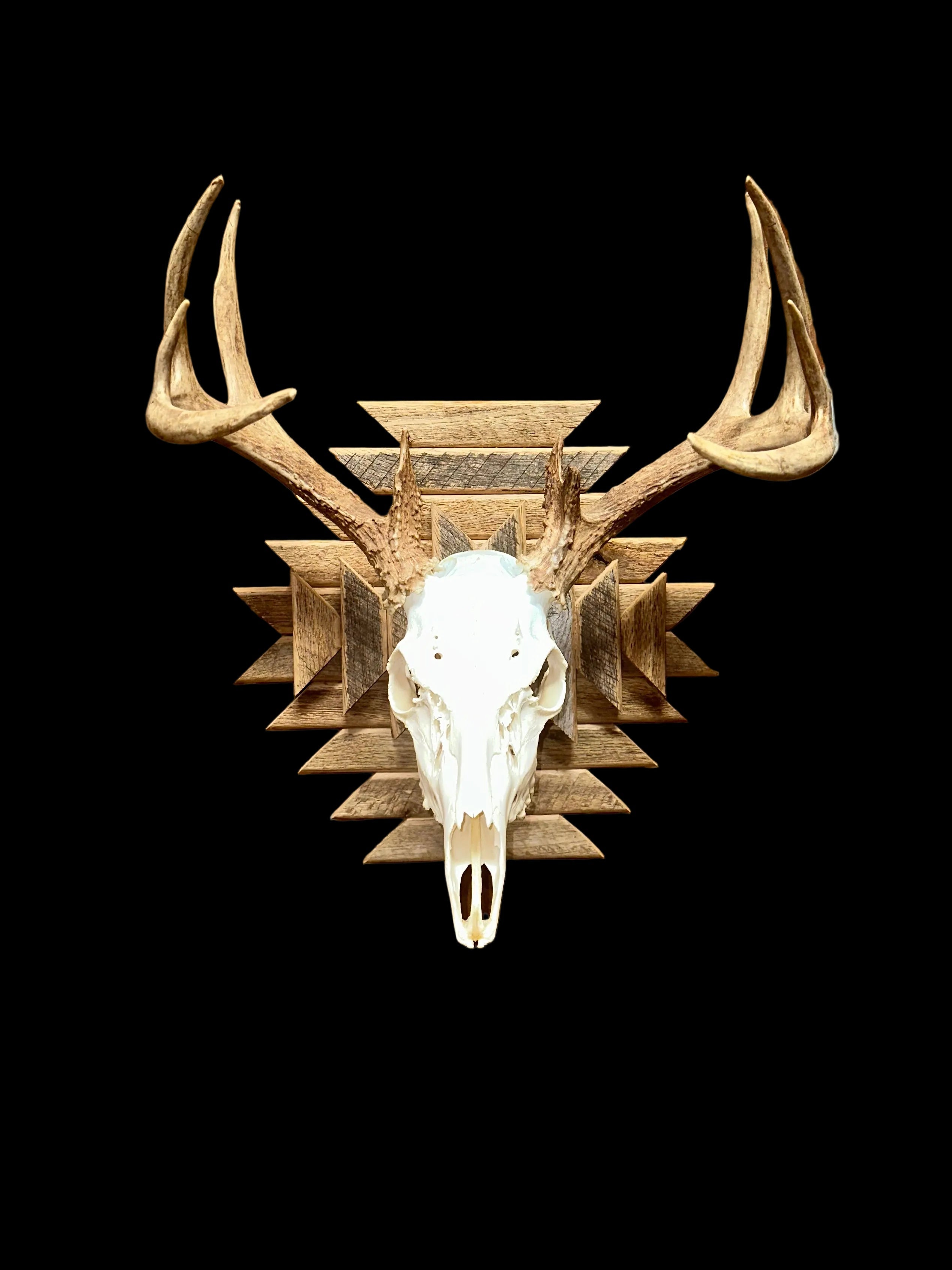 Deer Mounts
