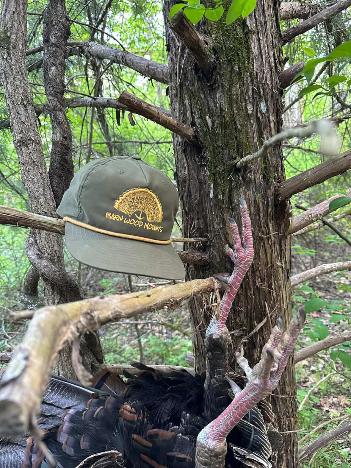 Barn Wood Mounts Snap Back