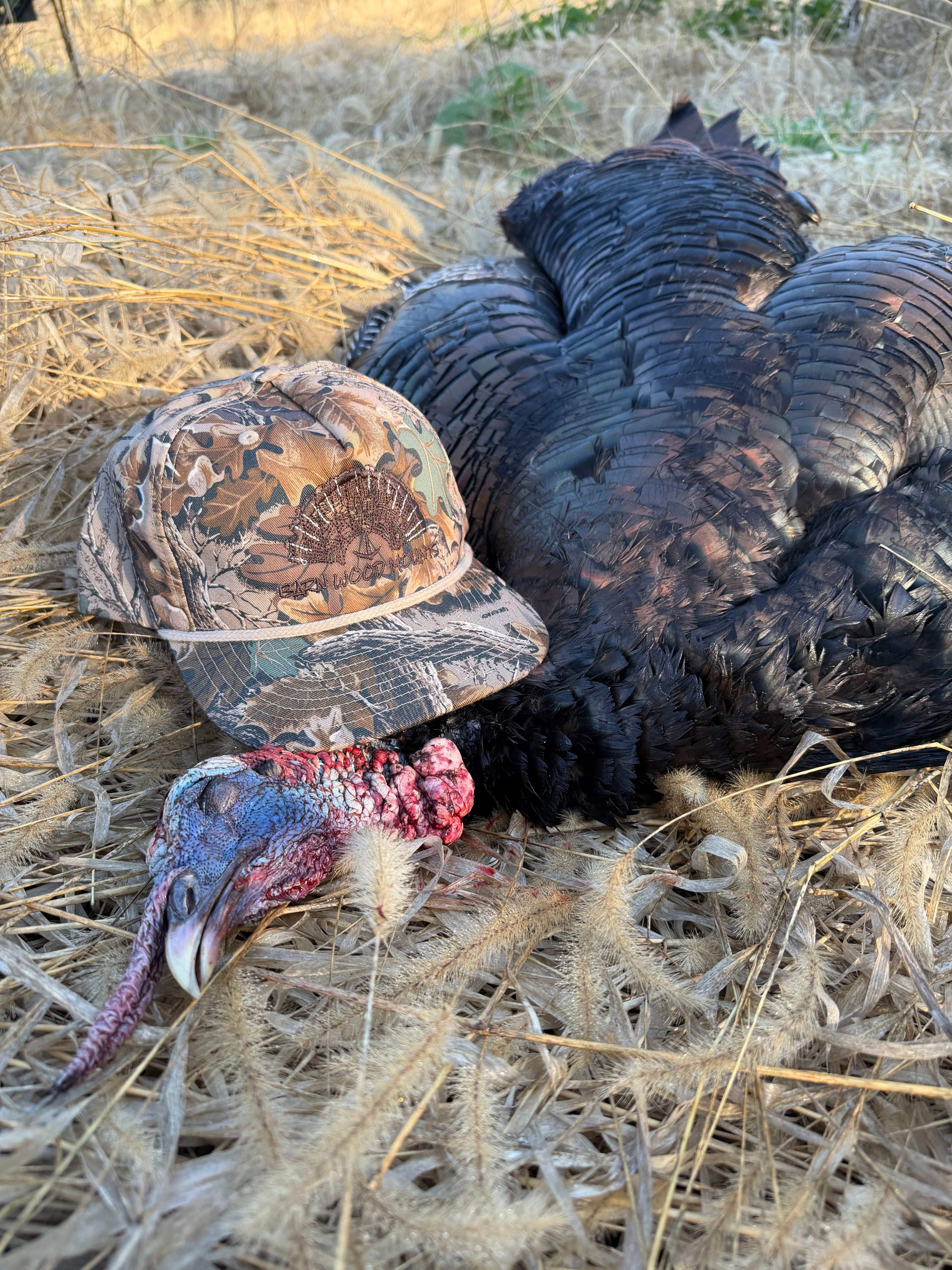 Barn Wood Mounts Snap Back