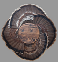4-Fan Turkey Fan Mount