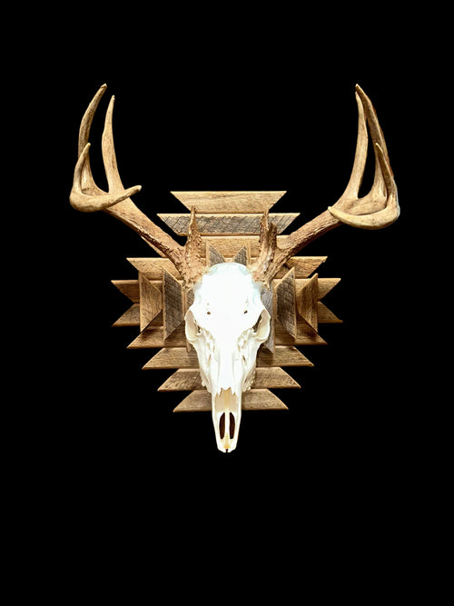Euro Aztec Skull Mount