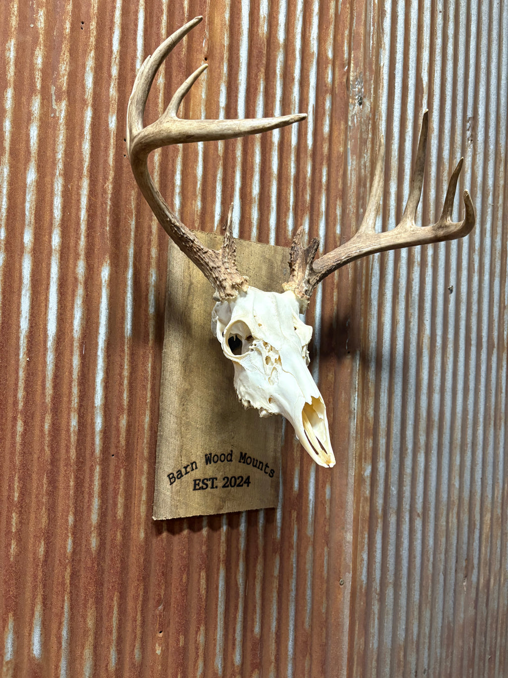 Euro Plank Mount With Custom Engraving