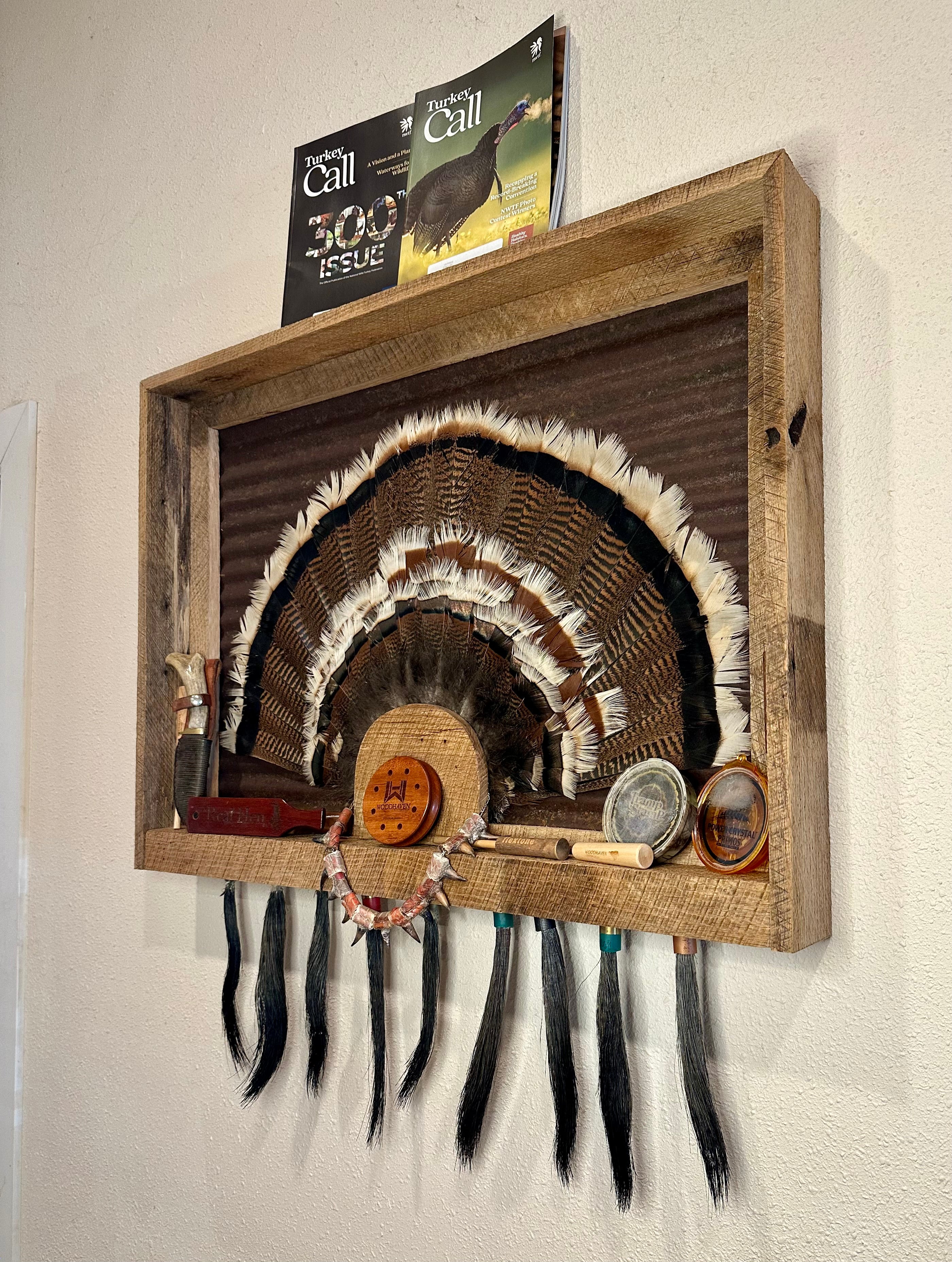 Shadow Box Fan/Beard Display