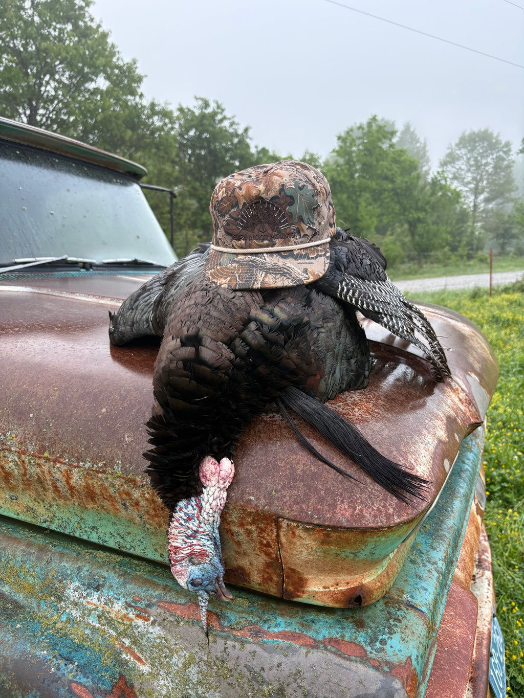 Barn Wood Mounts Snap Back
